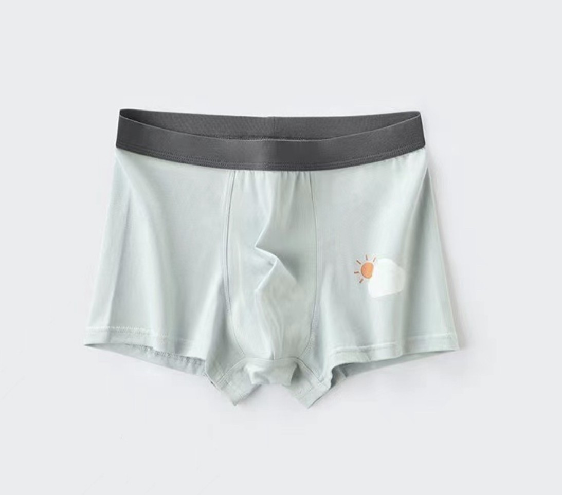 BOY UNDERWEAR